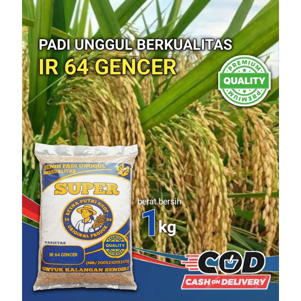 Benih padi ir 64 gencer berkualitas 1kg