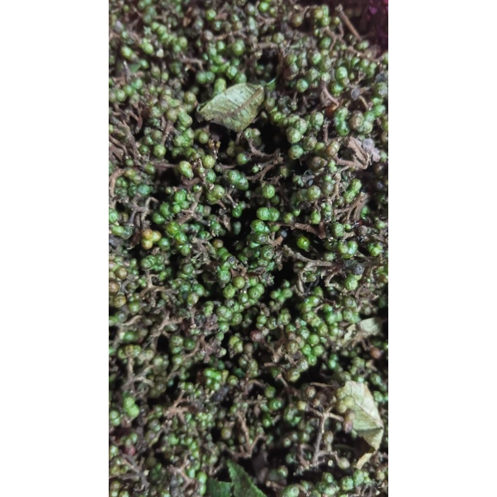 andaliman/bumbu andaliman