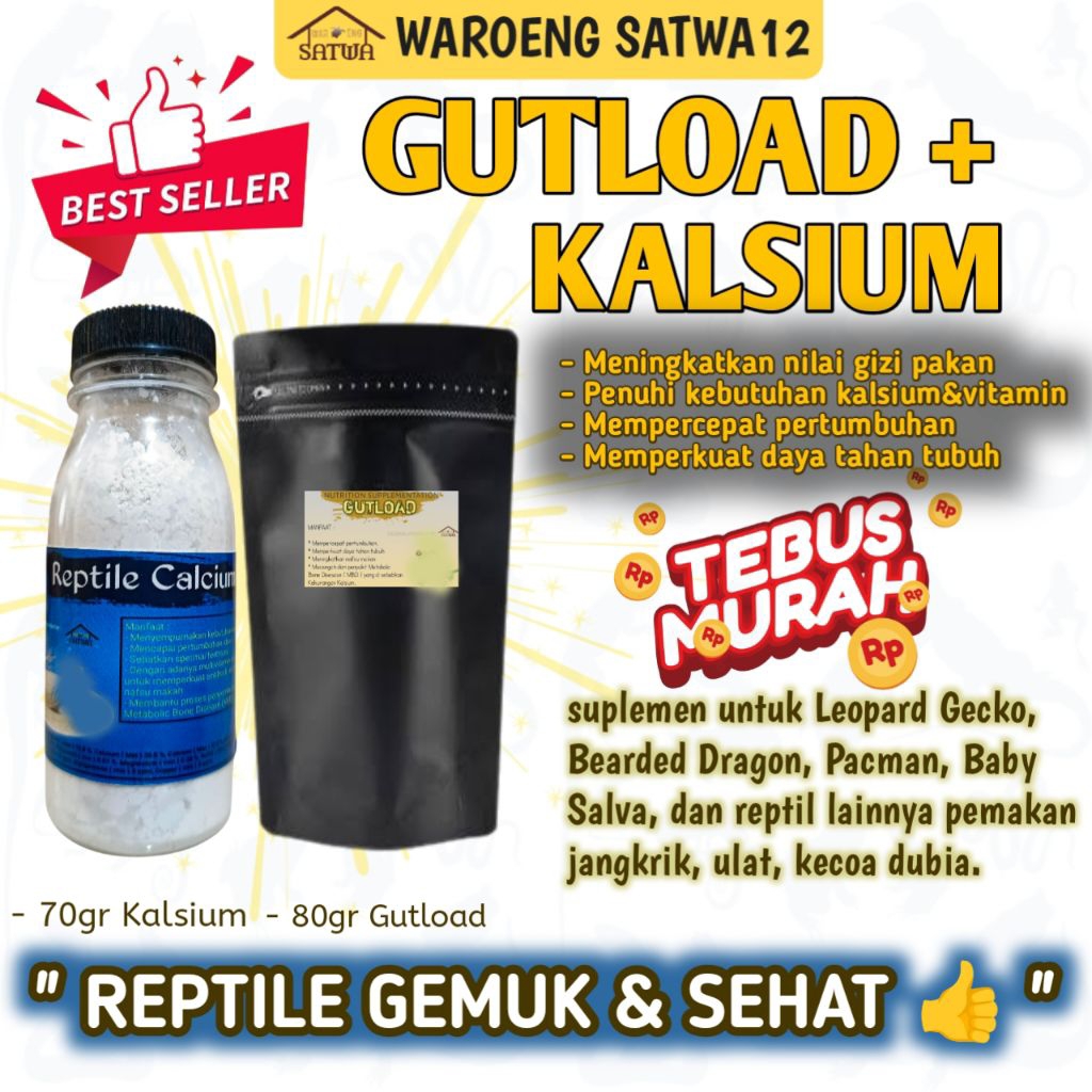 TEBUS MURAH  PAKET VITAMIN GECKO GEMUK SEHAT PANJANG GUTLOAD + KALSIUM REPTILE TOKEK LEOPARD GECKO B