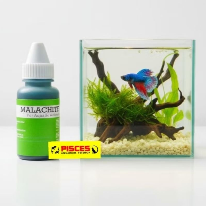Obat hijau Ikan | Malachite Green Anti Jamur & Parasit Ikan Hias | Obat White Spot Ikan Cupang, Gupp