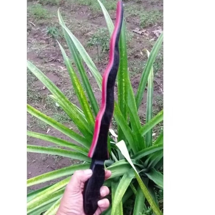 KERIS KEN AROK - KERIS TRADISIONAL - KERIS KAYU - KERIS MAINAN - KERIS KAYU - KERIS MAINAN ANAK - KE