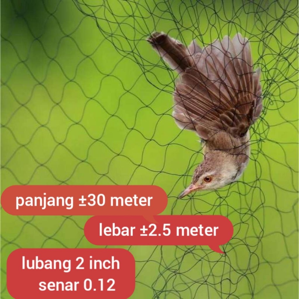 jaring burung kecil ukuran 2 inch / 2 jari jaring burung emprit burung pipit burung sawah dll jaring
