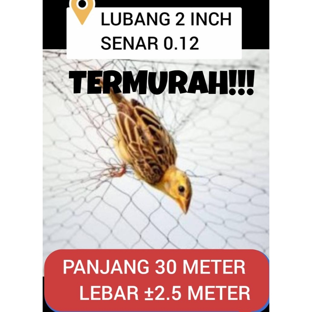 jaring burung kecil lubang 2 jari / 2 inch ukuran ±30×2.5 jaring hitam senar jaring burung emprit ja