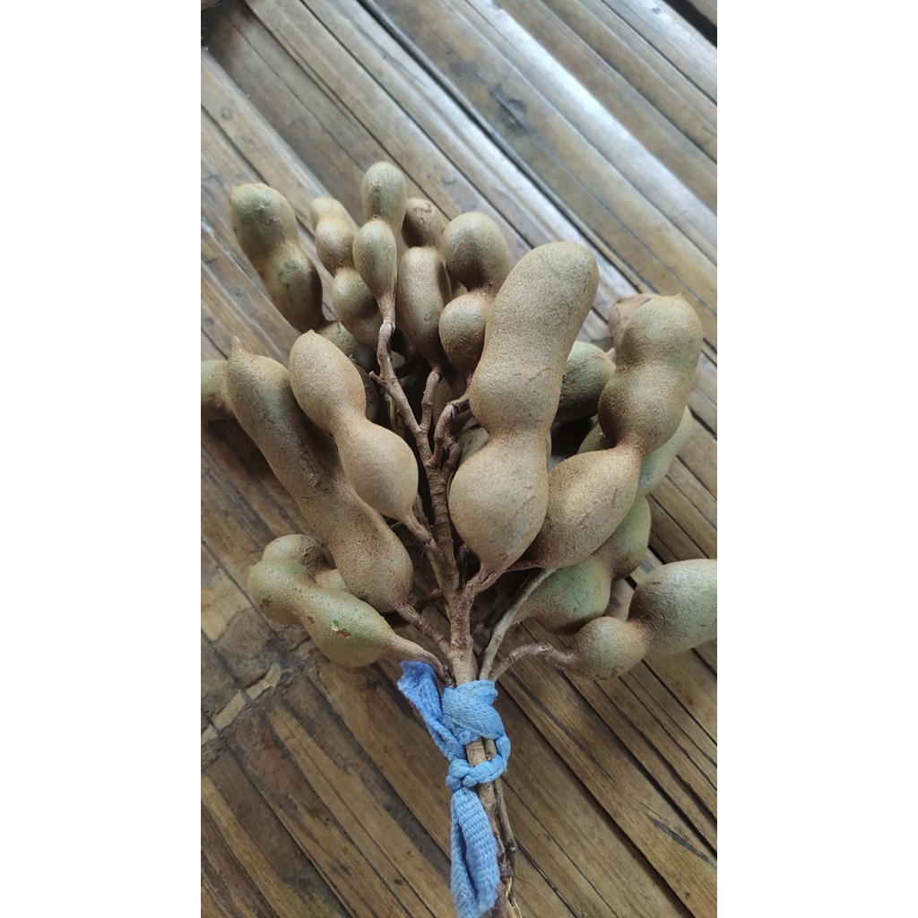 Asam Jawa Mentah 1000 gram asam jawa asli mentah 1kg asam jawa asli murah