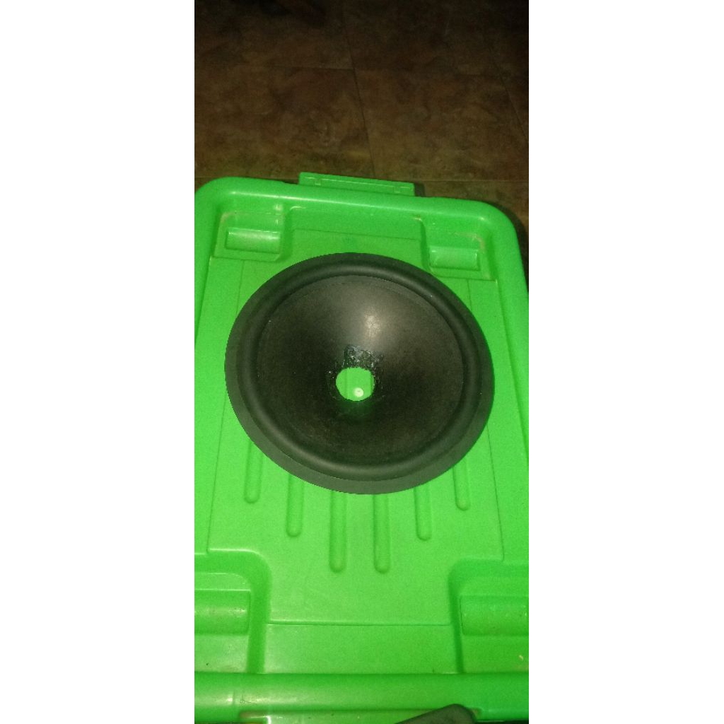 Daun speaker 8 inch copotan speaker