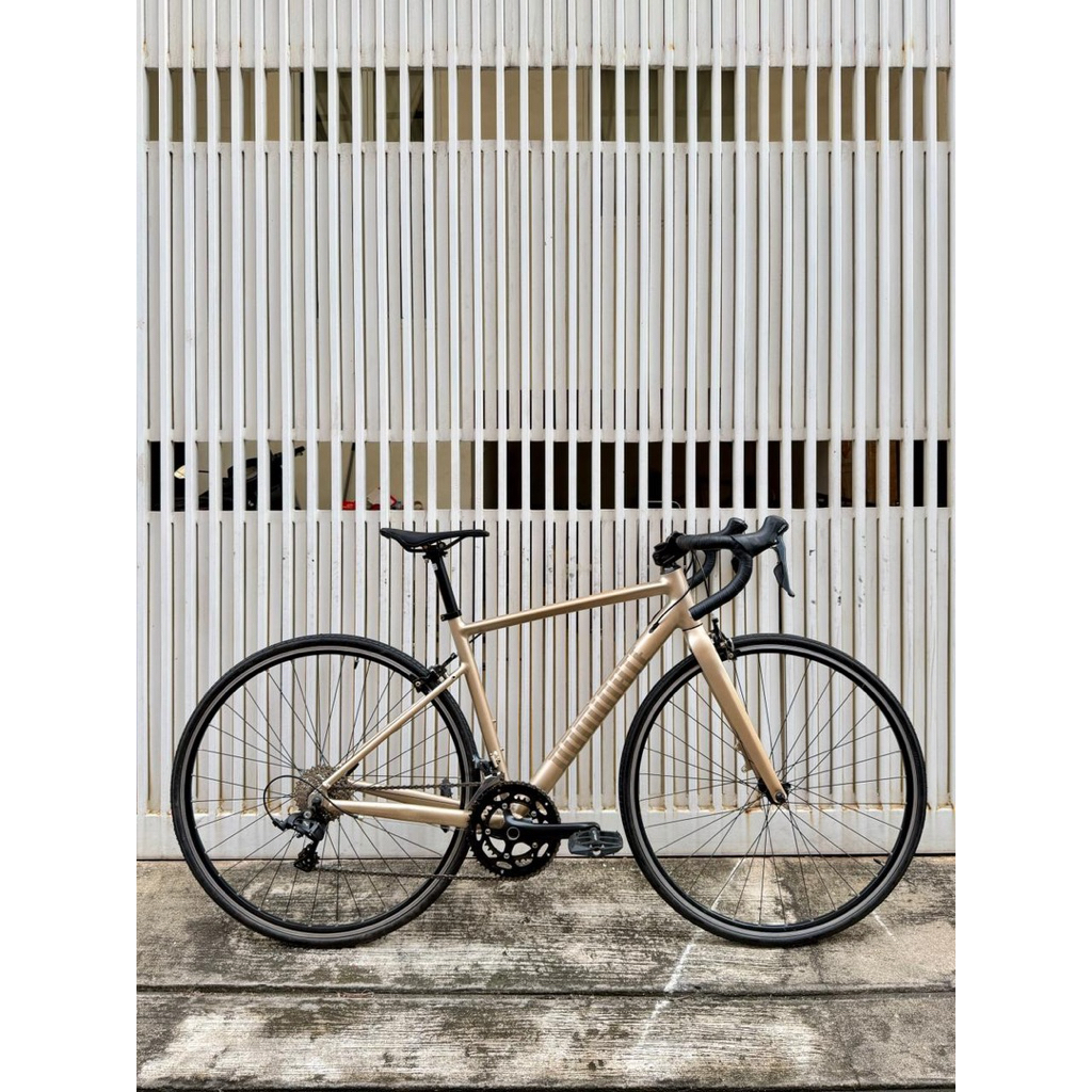 Roadbike Dominate RR Size S