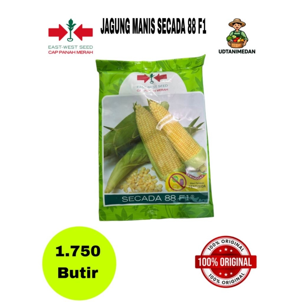 Benih Jagung Manis Secada 88 F1 isi 1750 butir
