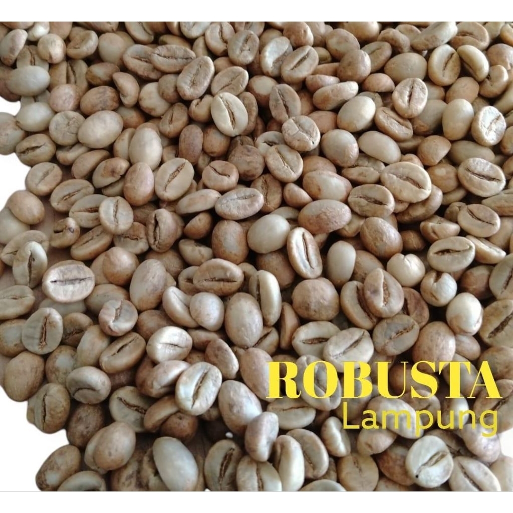 greenbean fine robusta lampung 1000gr