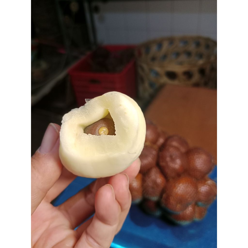 Salak Gula Pasir Asli Bali 1 Kg Manis/ Renyah