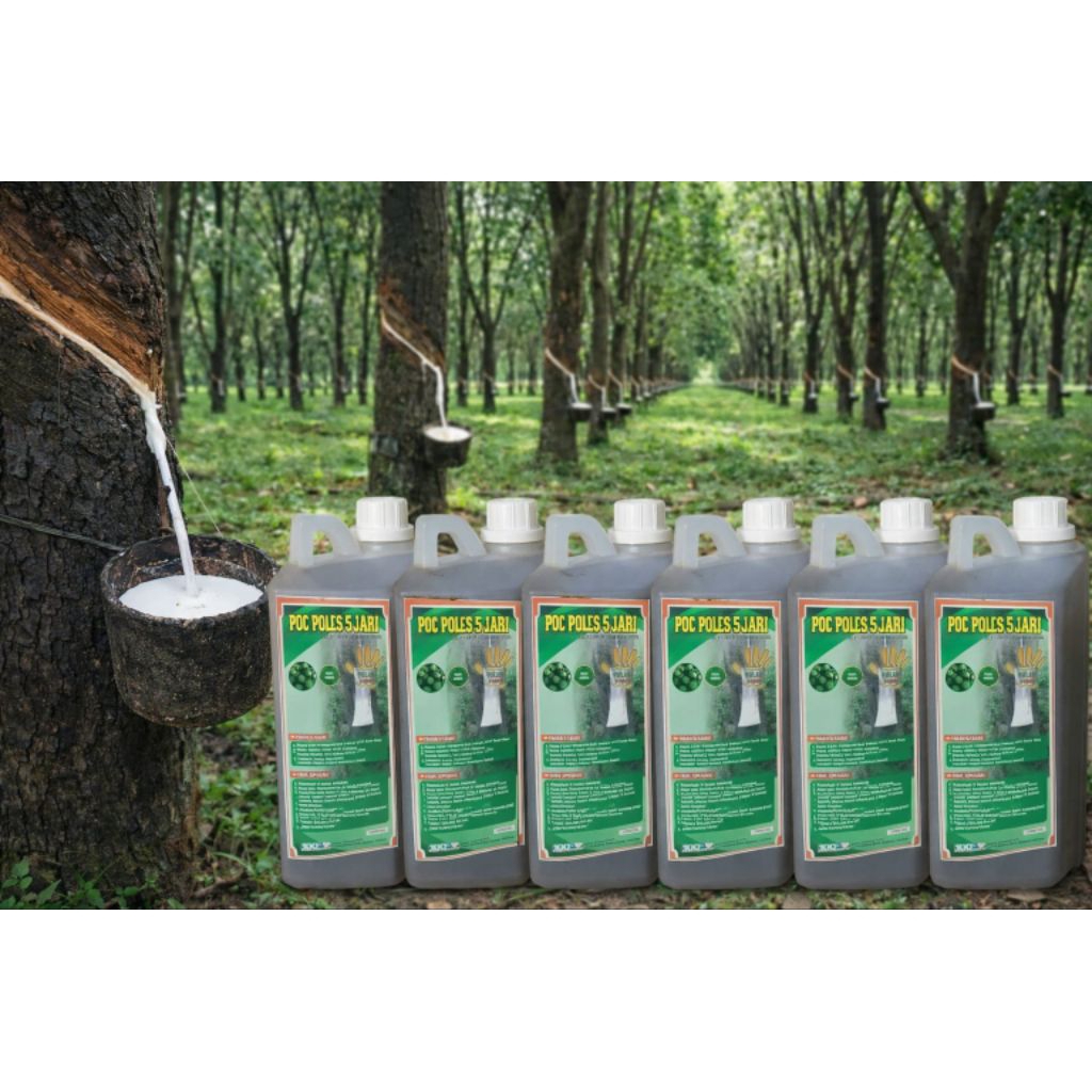 poc poles 5 jari