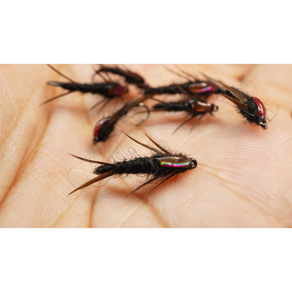 Nymph Xenomorph Flies Fly Fishing