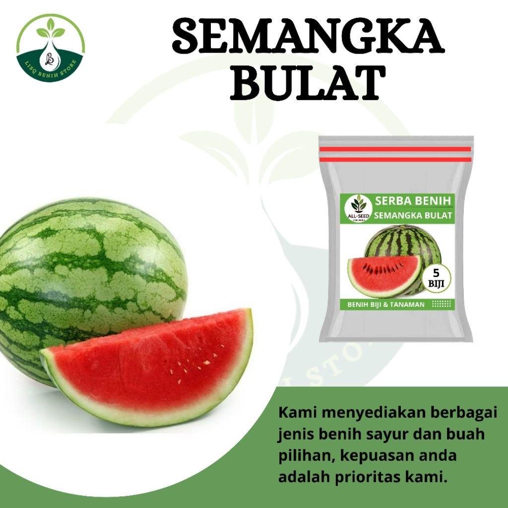 { 5 BIJI } Benih semangka bulat / semangka dragon / bibit semangka