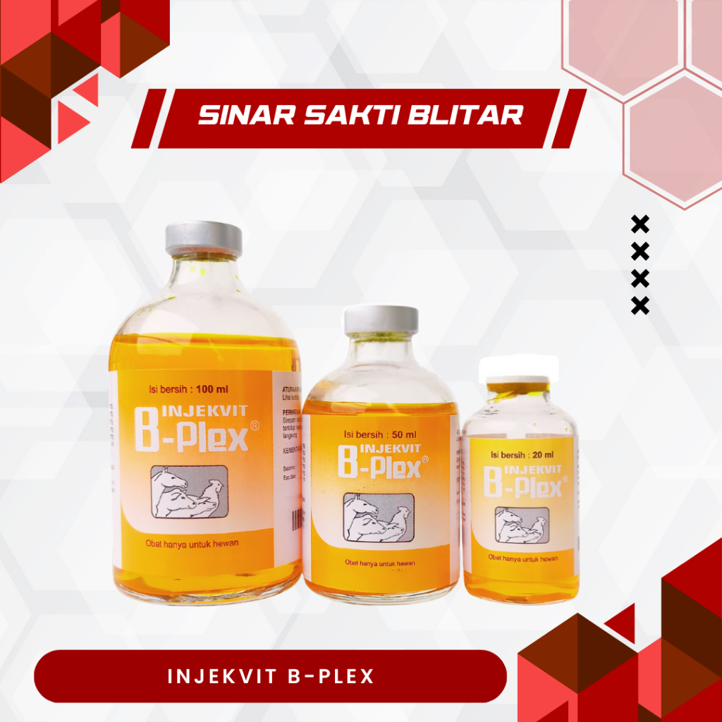 INJEKVIT B PLEX 20 ml dan 50 ml - Vitamin B Complex Untuk Ternak Sapi Kambing Domba Babi Ayam