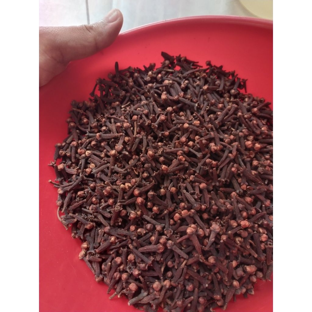 Cengkeh Kering Wangi Bumbu Rempah