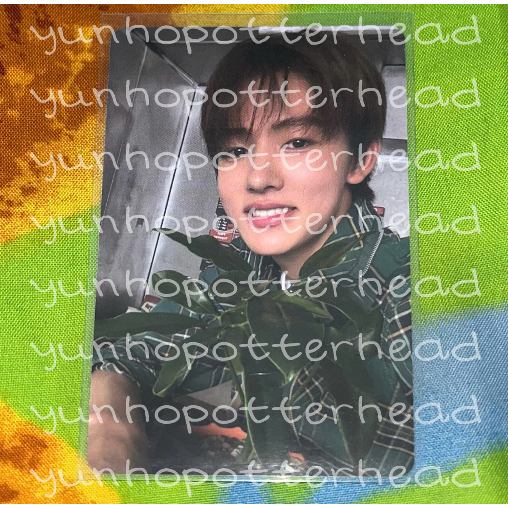 official photocard & postcard Seonghyeon Cortis