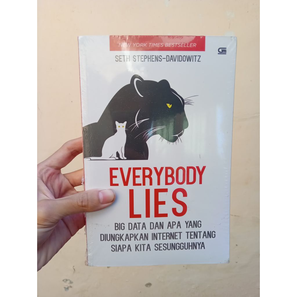buku everybody lies