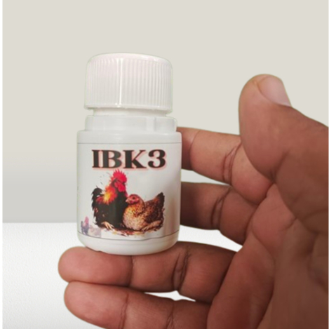 IBK3 isi 30kapsul obat ayam lumpuh tiba tiba - obat ayam kaki lemas  - obat kaki ayam lumpuh