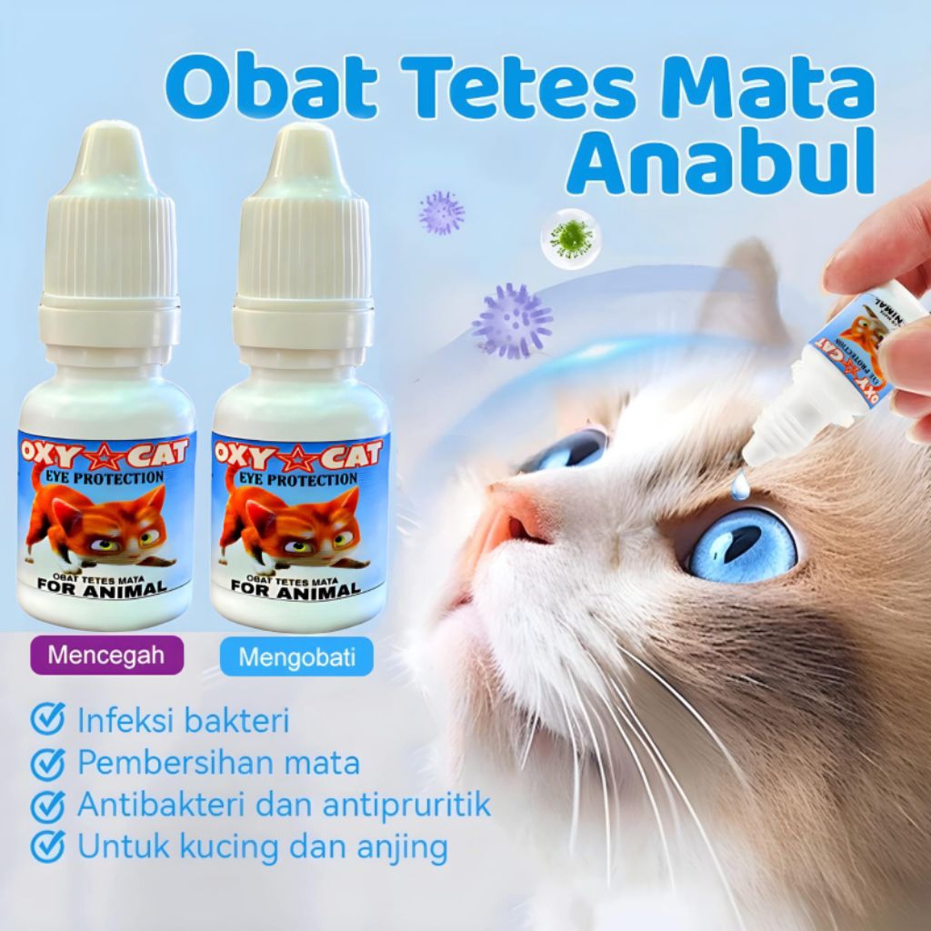 OBAT TETES MATA KUCING OXY CAT || OBAT TETES MATA KUCING BELEKAN INFEKSI