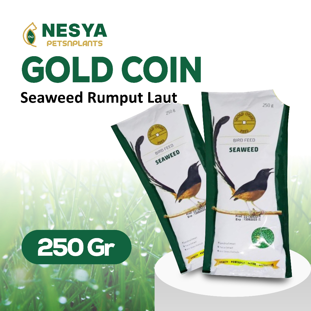GOLD COID SEAWEED 250Gr Gold Coin Murai Rumput Laut Hijau