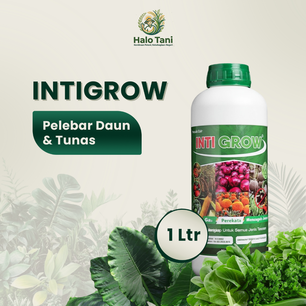NPK Intigrow Pelebat Tunas Daun Perkuat Batang dan Akar PPC Plus Original