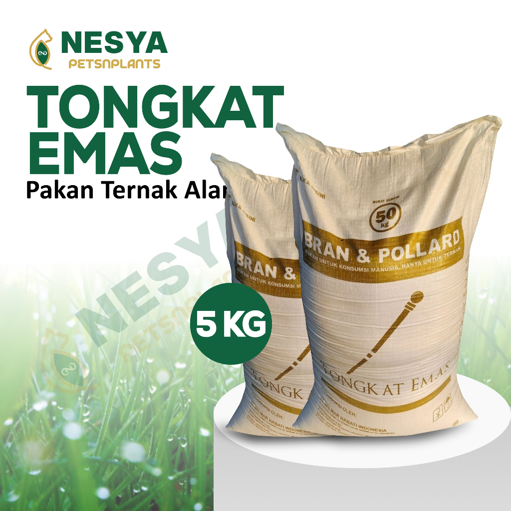 Pollard 5 kg Tongkat Emas Kemasan 5kg Polar Pakan Sapi / Polar Pakan Ternak