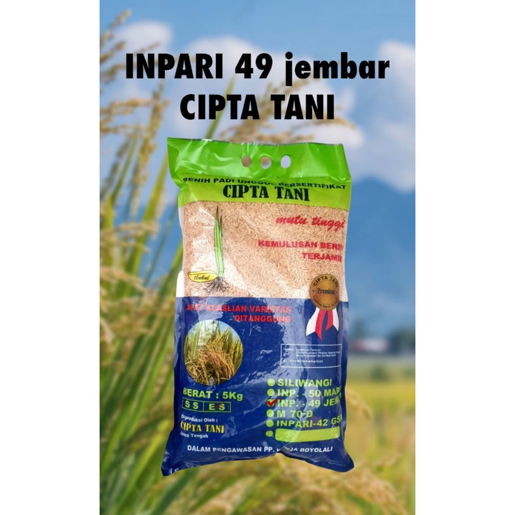 Benih Padi Inpari 49 Jembar 5Kg