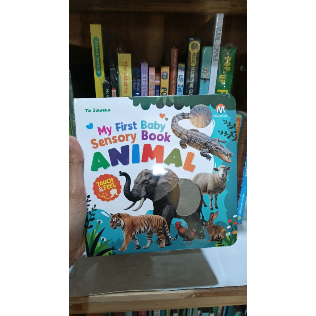 my first baby sensory book animal