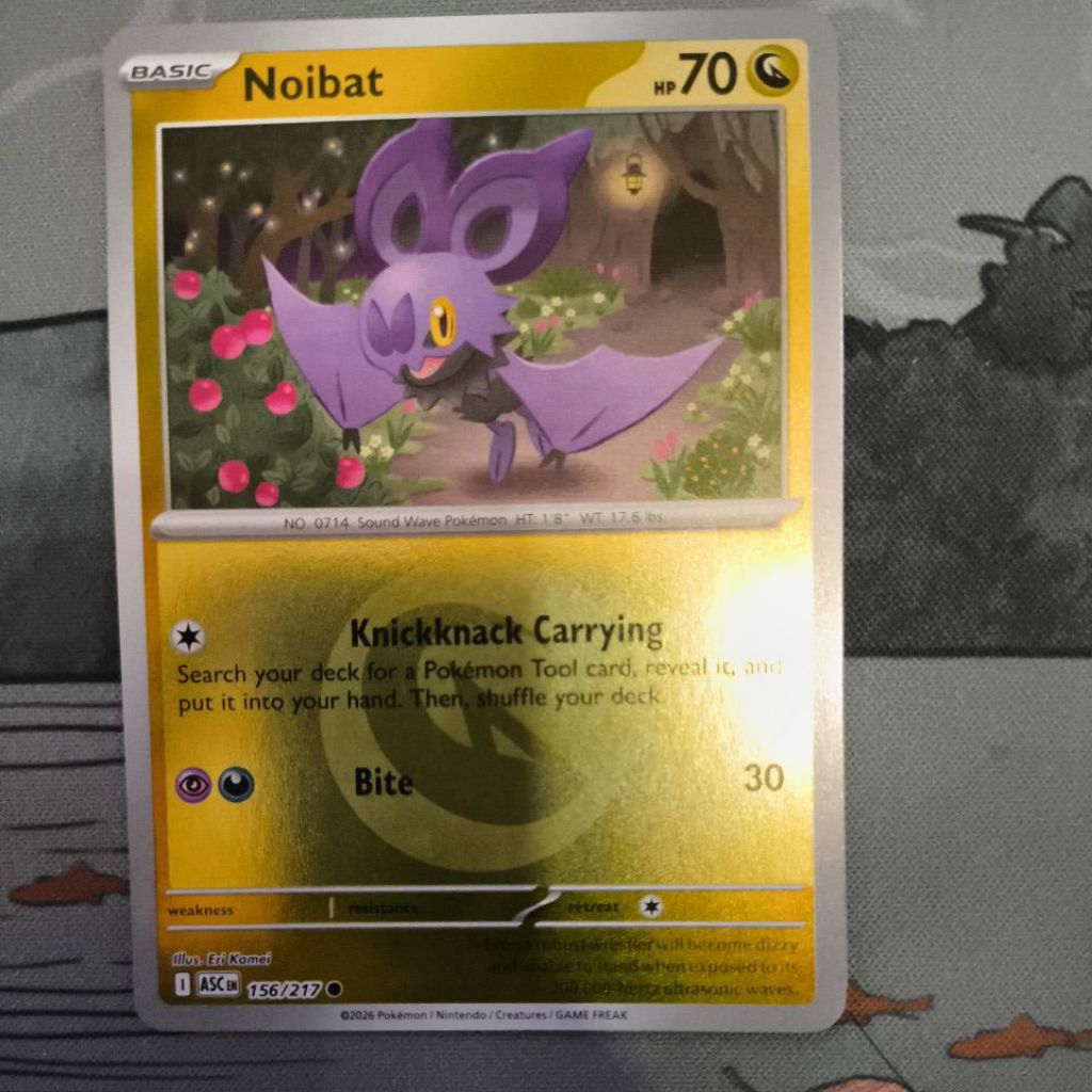 Noibat 156/217 Energy