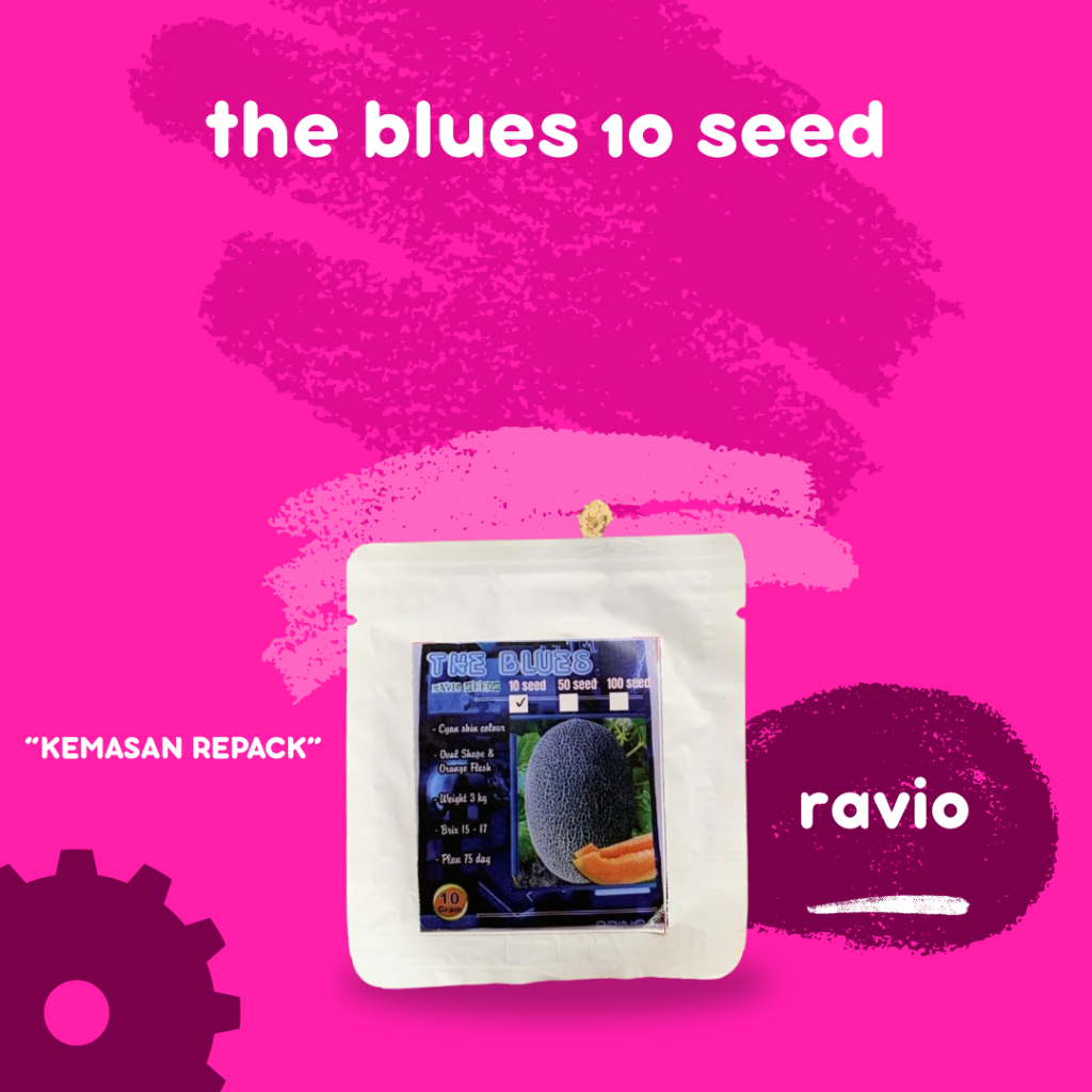 Benih Melon THE BLUES Repack Isi 10 Biji Melon