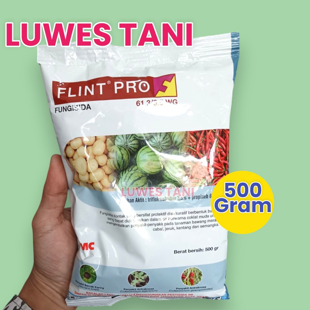 Fungisida Flint Pro 64.8 WG (500 gram) fungisida mesostemik sachet besar fmc