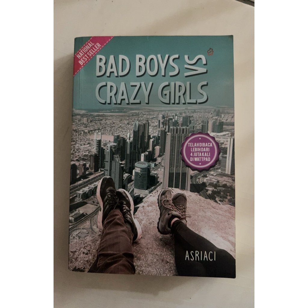 Novel Bad Boys VS Crazy Girls