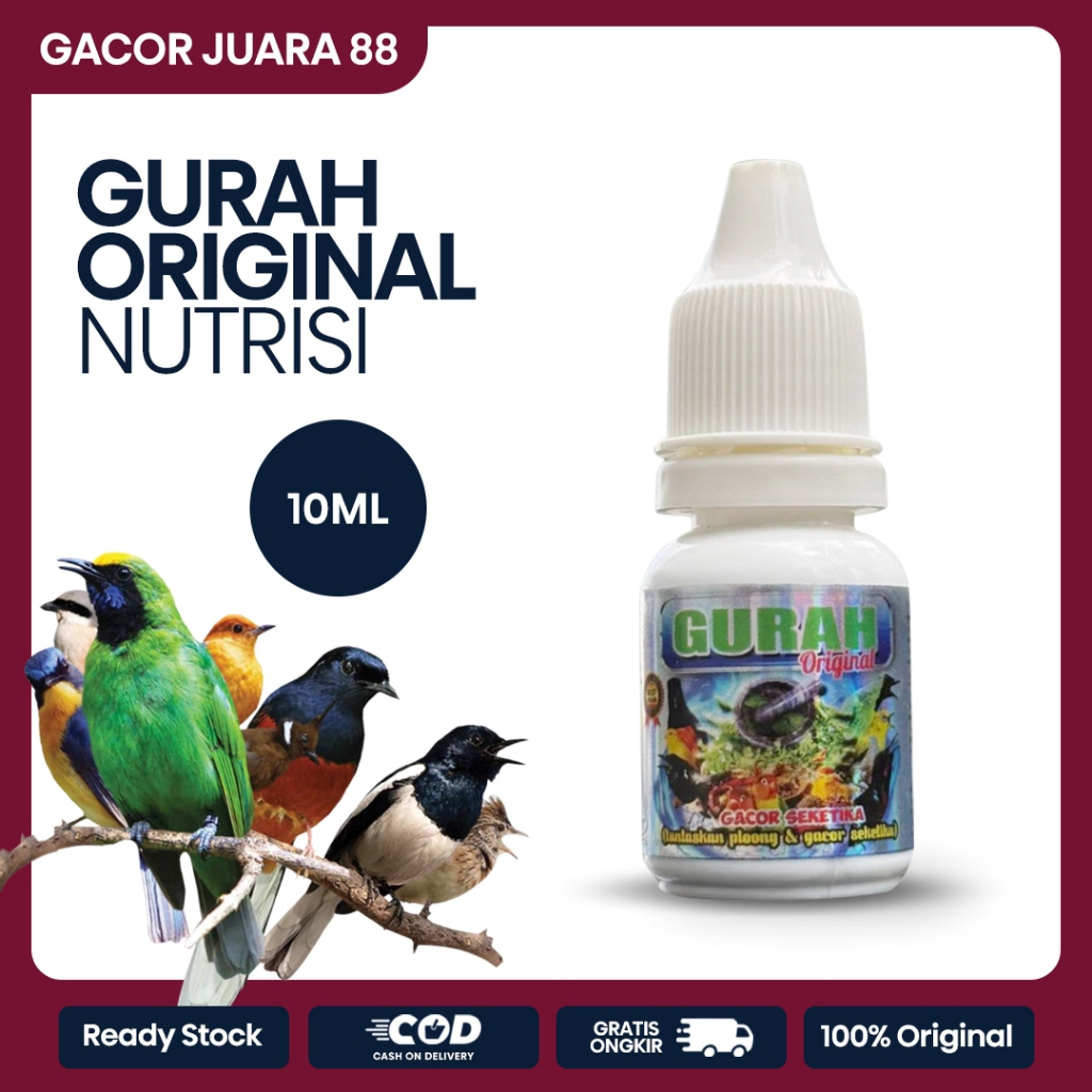 Gurah Original Burung Kicau Bebaskan Tenggorokan Menjadi Plong Jamu Penggacor Semua Burung Kicau
