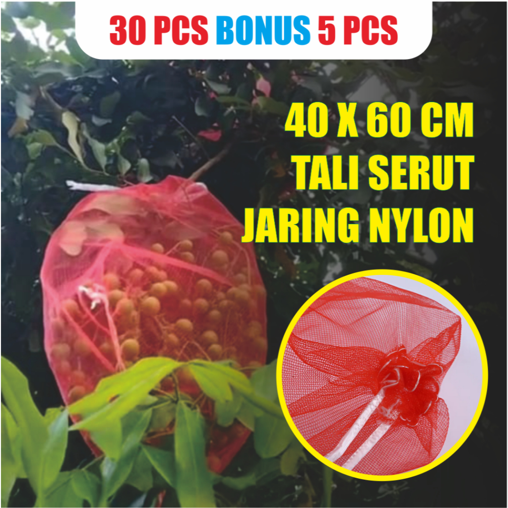 Brongsong Jaring Pembungkus Buah Kelengkeng Di Pohon Dengan Tali Serut