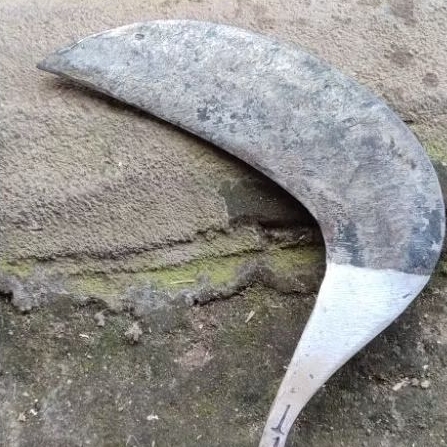 sabit 1 1 wojo isen, sabit baja isen, super tajam, sabit rumput baja isen tertanam sepuhan matang