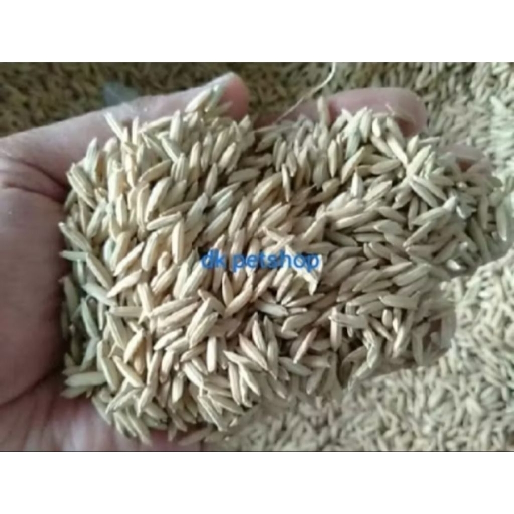 GABAH BERAS PADI PAKAN AYAM BURUNG 250gr