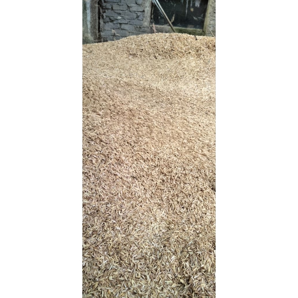 Sekam padi /karung
