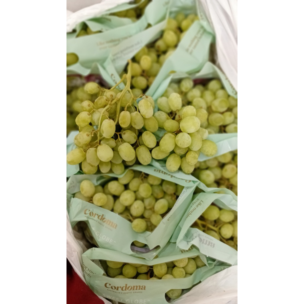 Anggur Hijau Cripsy Seedless Anggur Hijau manis Tanpa Biji Anggur Non Biji Hijau