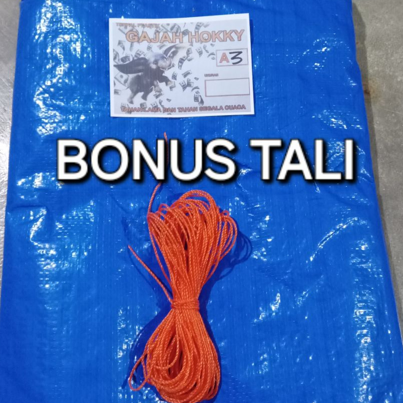 Terpal tenda 6x6 6x7 6x8 6x9 6x10 A3 terpal jemur padi terpal kolam ikan