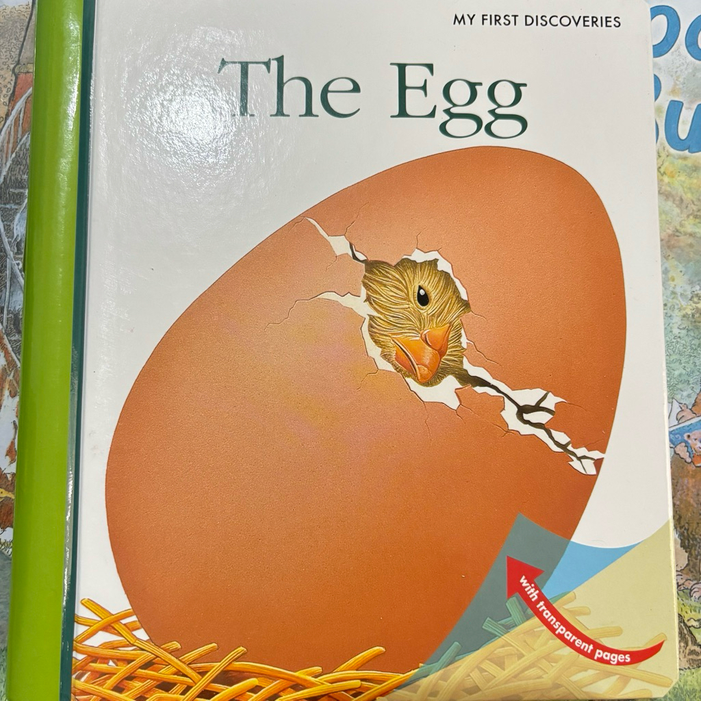 MFD My First Discoveries The Egg