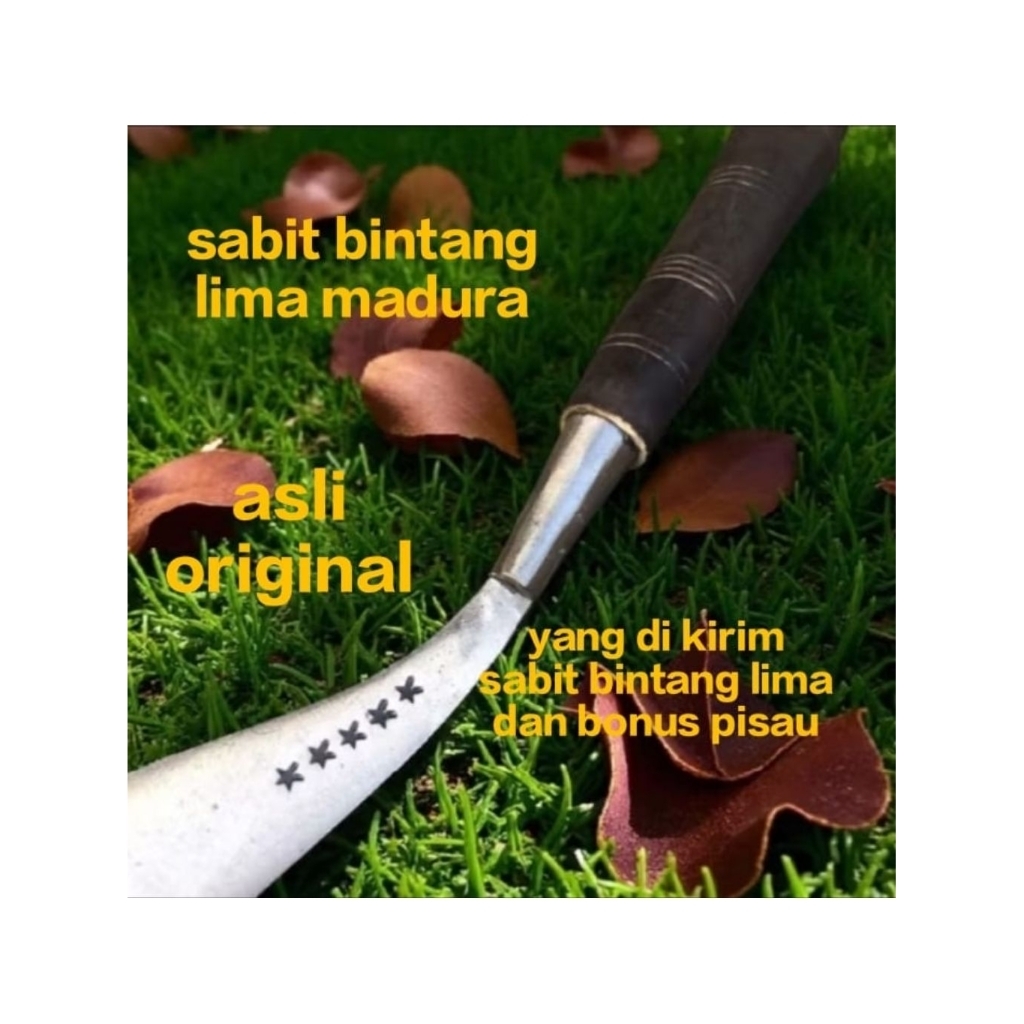 sabit rumput asli madura bahan baja super tajam