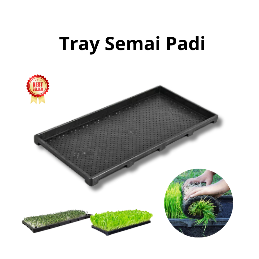 Tray Semai Padi Luckystar-Tray Padi Super Tebal-Tray Semai Khusus Padi