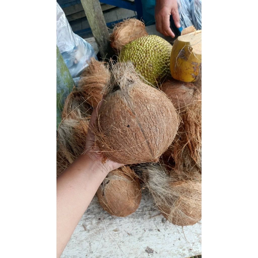Kelapa tua parut