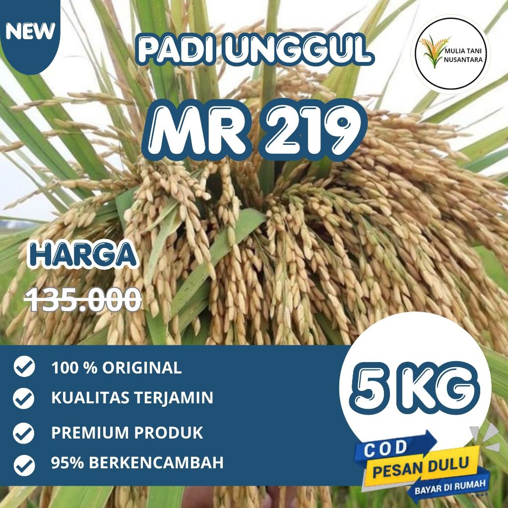 Biji Padi Unggul MR 219 MR219 5KG