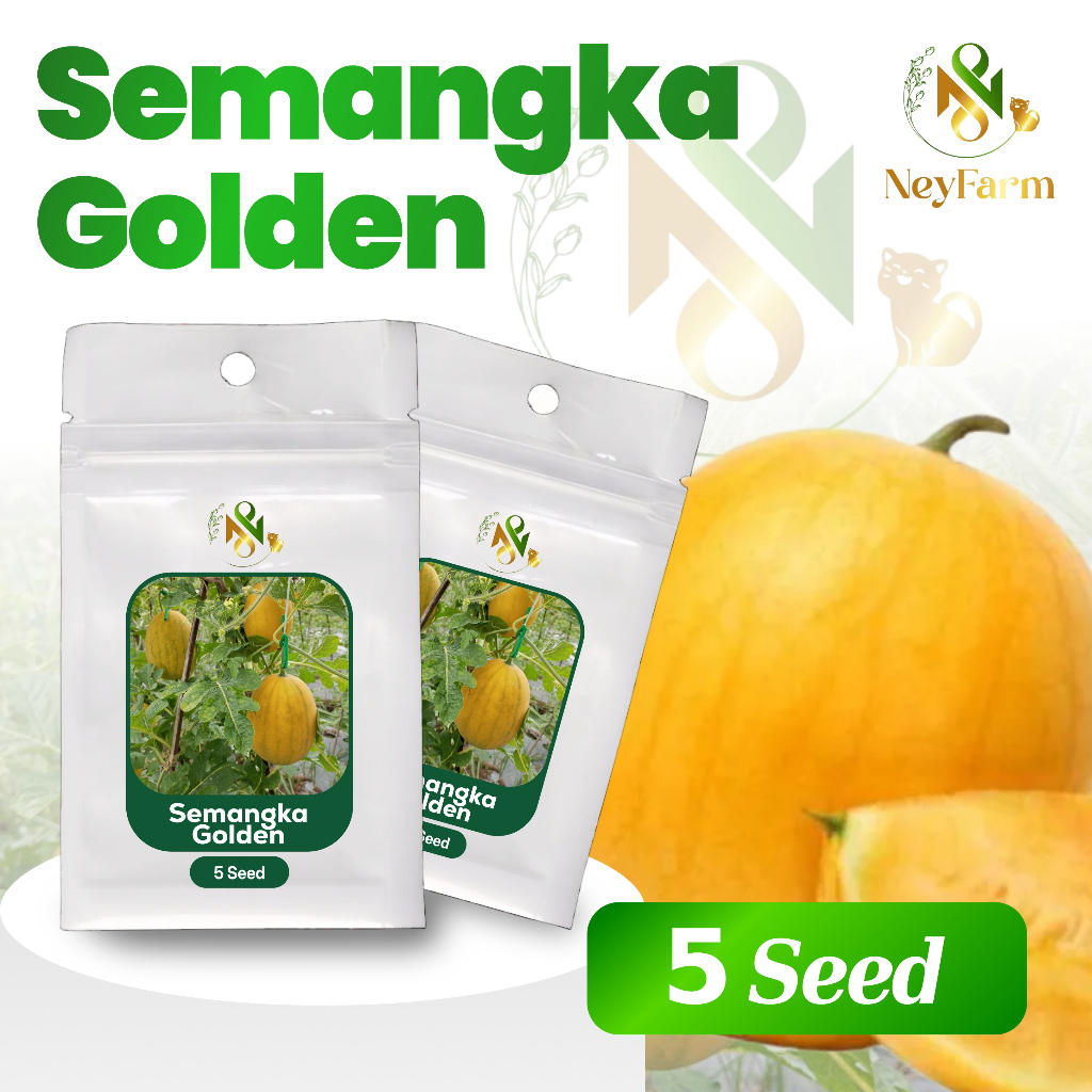 5 Biji Benih Semangka Golden Buah Semangka Golden Benih Buah Berkualitas
