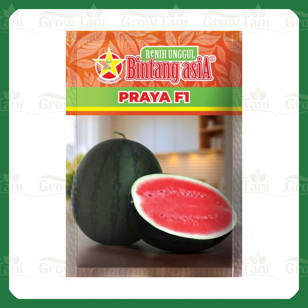 Praya 20gr Benih Semangka Bintang Asia 100% Original Daiwo