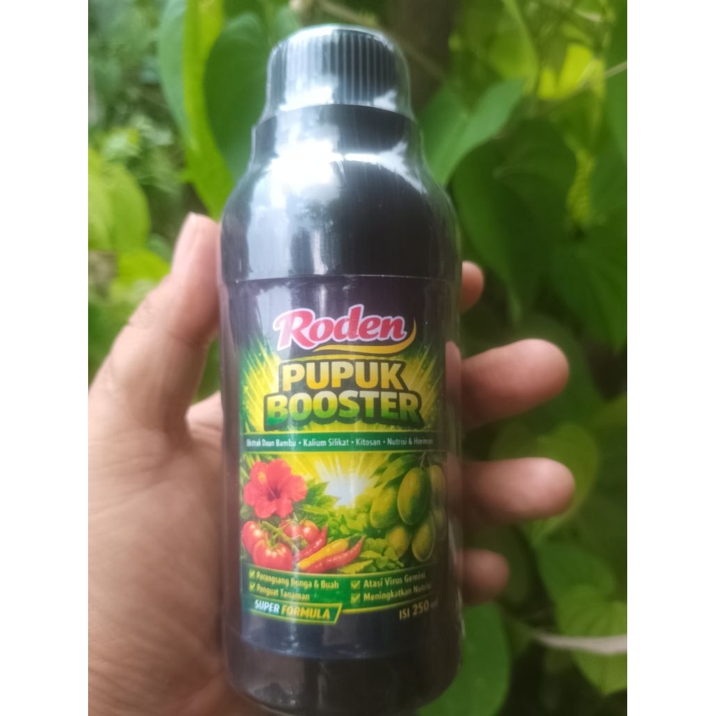 Pupuk Booster Roden Anti Virus Gemini Kuning Pada Daun Cabai Terong Dll 250 Ml