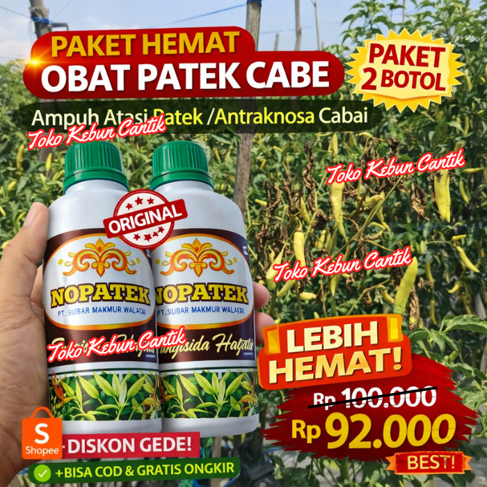 NOPATEK Obat Jamur Cabe 500ml x2 Botol – Atasi Patek & Antraknosa Cabai