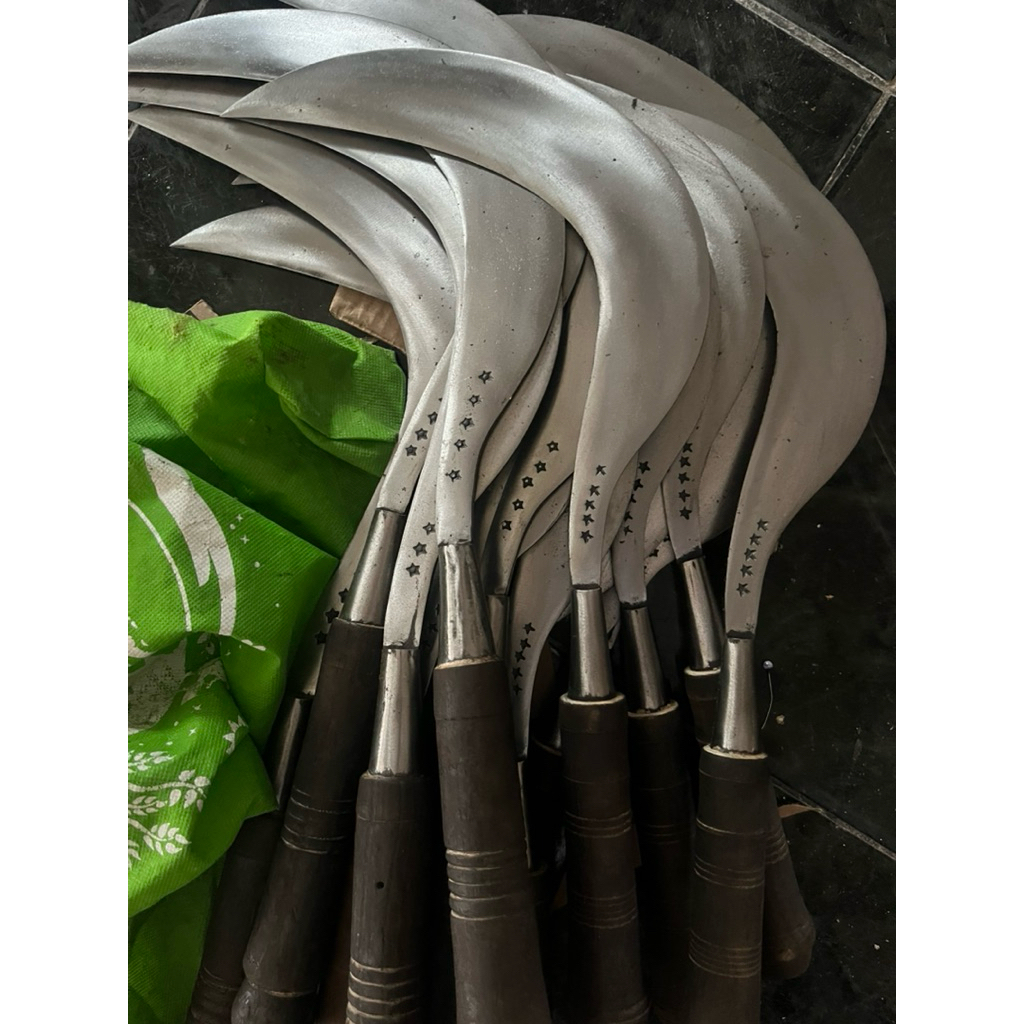 1pcs arit rumput sabit besar ful baja asli khas madura
