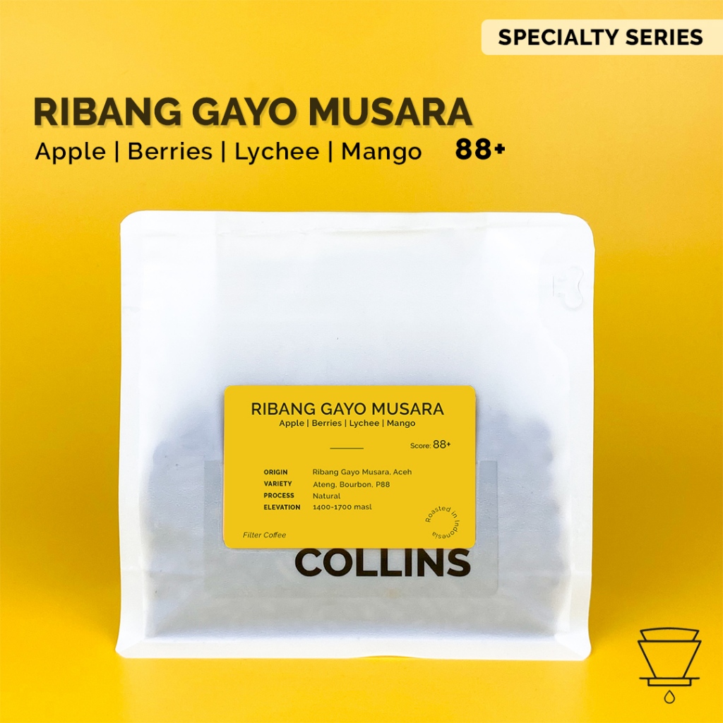 Gayo Ribang Musara Natural | COLLINS ROASTERS| Filter Specialty Coffee