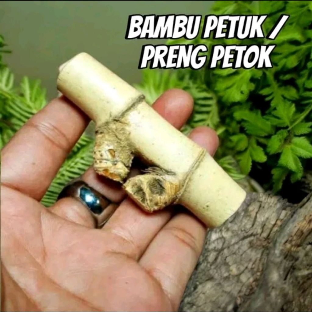 bambu pethuk preng pethok asli bambu pajangan koleksi paling mewah